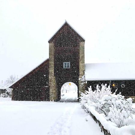 Urlaub In Der Burg Am Bodensee Kressbronn am Bodensee Εξωτερικό φωτογραφία